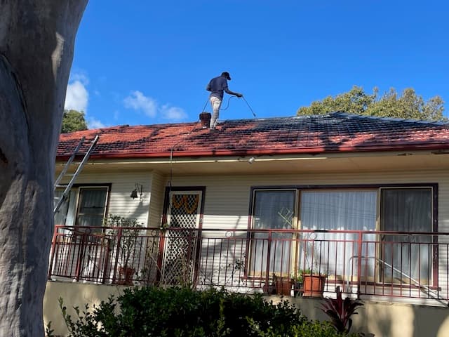 Roof Painting